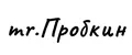mr.Пробкин