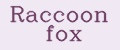 Аналитика бренда Raccoon fox на Wildberries