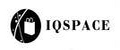 IQspace