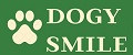 Аналитика бренда Dogy Smile на Wildberries