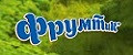 Фрумтик