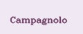 Аналитика бренда CAMPAGNOLO на Wildberries