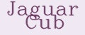 Jaguar Cub