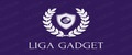 Аналитика бренда LIGA GADGET на Wildberries