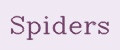 Spiders