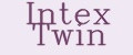 Intex Twin