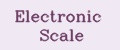 Electronic scale