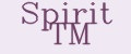 Spirit TM