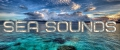 Sea sounds