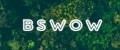 BSWOW