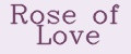 Rose of love