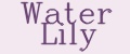 Аналитика бренда WATER LILY на Wildberries