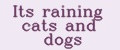 Its raining cats and dogs