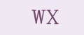 Аналитика бренда WX на Wildberries
