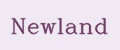 Аналитика бренда Newland на Wildberries