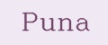 Puna