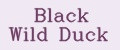 Black Wild Duck