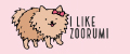 i like zoorumi