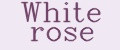 Аналитика бренда WHITE ROSE на Wildberries