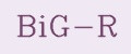 BiG-R