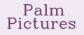 Palm Pictures