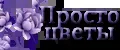 Просто цветы