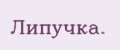 Липучка.