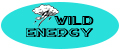 Аналитика бренда Wild Energy на Wildberries