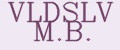 VLDSLV M.B.
