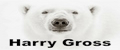 Harry Gross