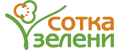 Сотка Зелени
