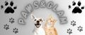 PAWS&GLAM