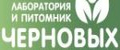 Питомник Черновых