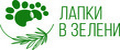 ЛАПКИ В ЗЕЛЕНИ