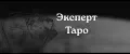Эксперт Таро
