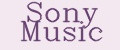 Аналитика бренда Sony Music на Wildberries