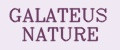 Аналитика бренда GALATEUS NATURE на Wildberries