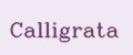 Аналитика бренда Calligratа на Wildberries