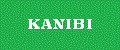 Аналитика бренда KANIBI на Wildberries