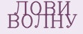 ЛОВИ ВОЛНУ