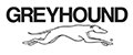 Greyhound