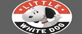 LITTLE WHITE DOG