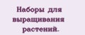 Наборы для выращивания растений.