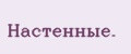 Настенные.