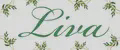 ЛиВа