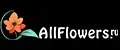 Allflowers