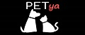 PETya