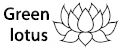 Аналитика бренда Green lotus на Wildberries