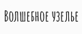 Волшебное узелье