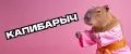 КАПИБАРЫЧ